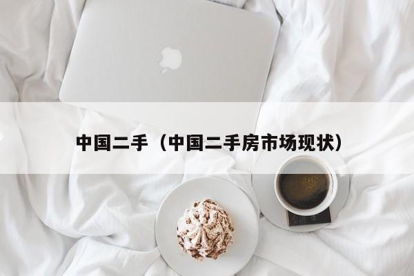 中国二手（中国二手房市场现状）