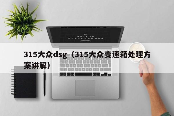 315大众dsg（315大众变速箱处理方案讲解）