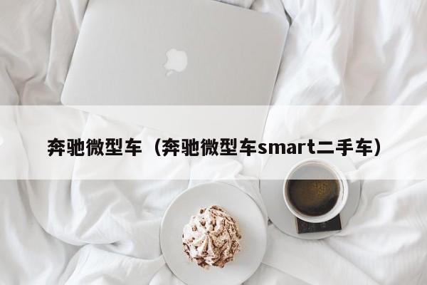奔驰微型车（奔驰微型车smart二手车）