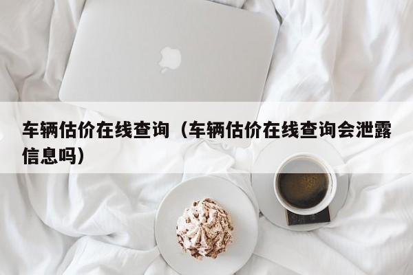 车辆估价在线查询（车辆估价在线查询会泄露信息吗）