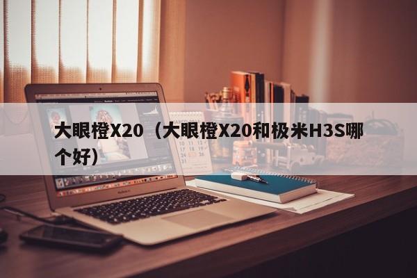 大眼橙X20（大眼橙X20和极米H3S哪个好）