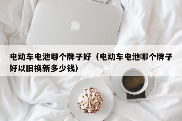 电动车电池哪个牌子好（电动车电池哪个牌子好以旧换新多少钱）