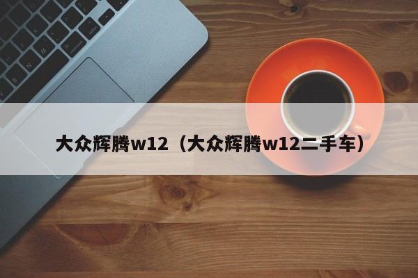 大众辉腾w12（大众辉腾w12二手车）