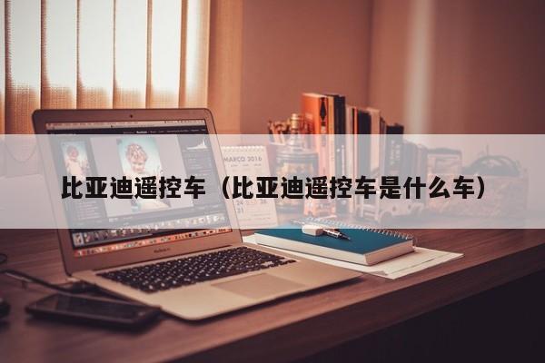 比亚迪遥控车（比亚迪遥控车是什么车）
