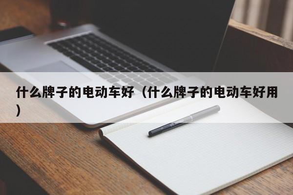什么牌子的电动车好（什么牌子的电动车好用）