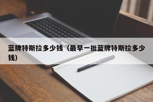 蓝牌特斯拉多少钱（最早一批蓝牌特斯拉多少钱）