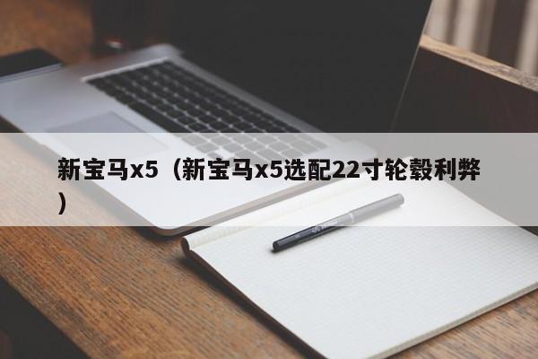 新宝马x5（新宝马x5选配22寸轮毂利弊）