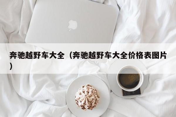 奔驰越野车大全（奔驰越野车大全价格表图片）