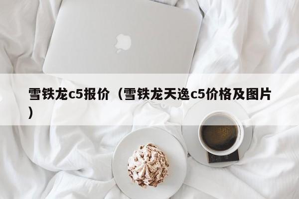 雪铁龙c5报价（雪铁龙天逸c5价格及图片）