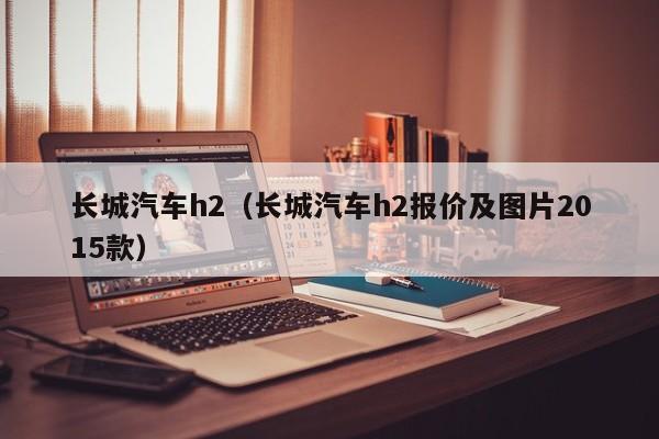 长城汽车h2（长城汽车h2报价及图片2015款）