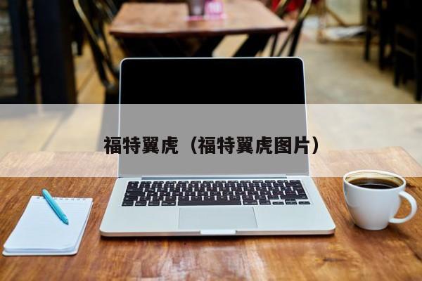 福特翼虎（福特翼虎图片）