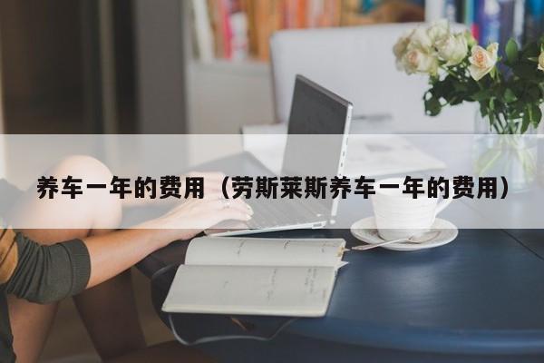 养车一年的费用（劳斯莱斯养车一年的费用）