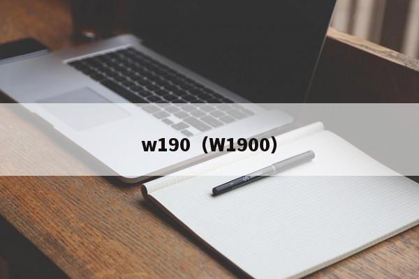 w190（W1900）