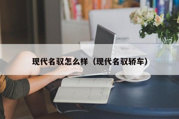 现代名驭怎么样（现代名驭轿车）