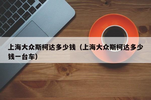 上海大众斯柯达多少钱（上海大众斯柯达多少钱一台车）