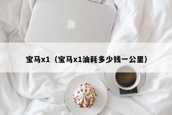 宝马x1（宝马x1油耗多少钱一公里）