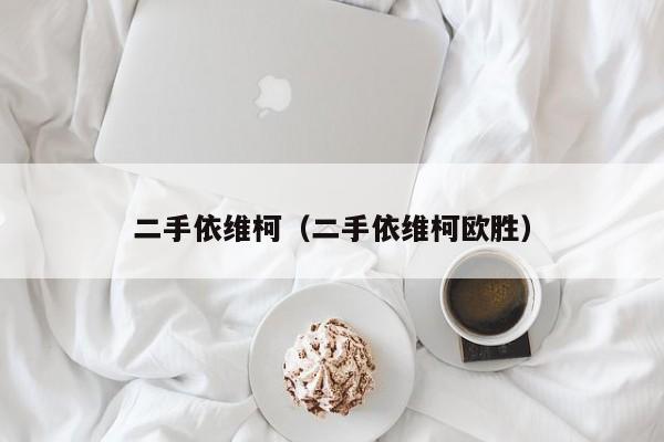 二手依维柯（二手依维柯欧胜）