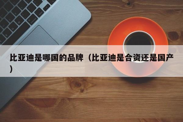 比亚迪是哪国的品牌（比亚迪是合资还是国产）