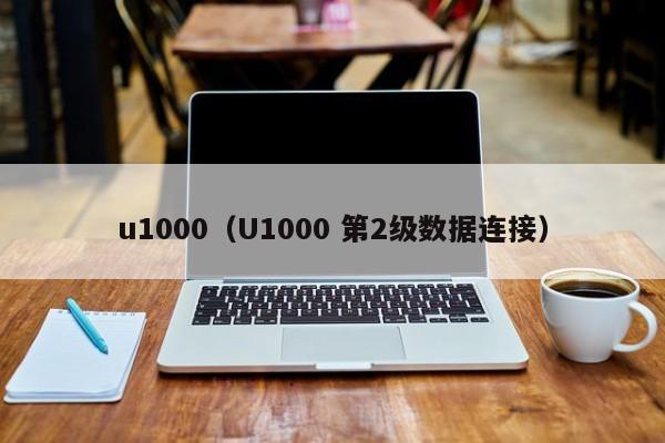 u1000（U1000 第2级数据连接）