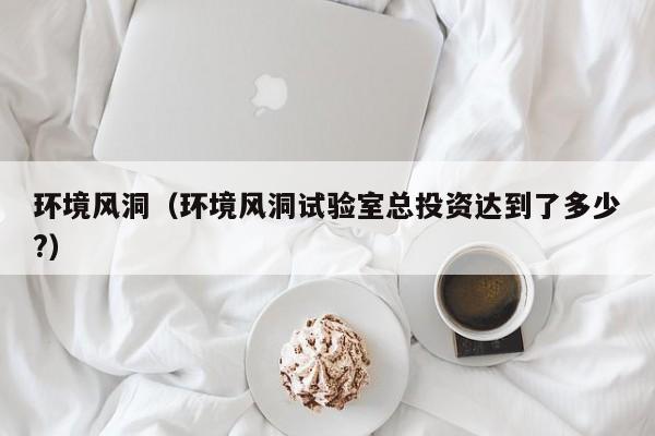 环境风洞（环境风洞试验室总投资达到了多少?）