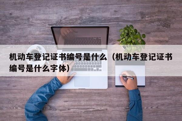 机动车登记证书编号是什么（机动车登记证书编号是什么字体）