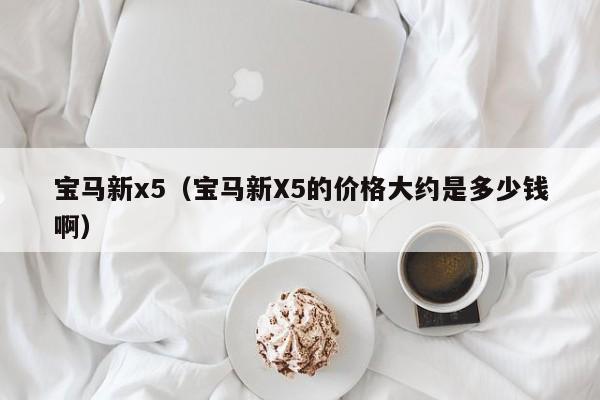 宝马新x5（宝马新X5的价格大约是多少钱啊）