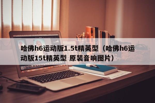 哈佛h6运动版1.5t精英型（哈佛h6运动版15t精英型 原装音响图片）