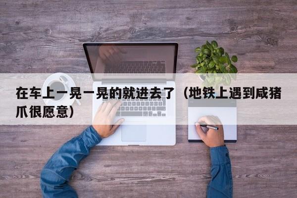 在车上一晃一晃的就进去了（地铁上遇到咸猪爪很愿意）