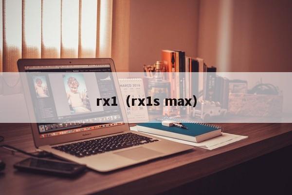 rx1（rx1s max）