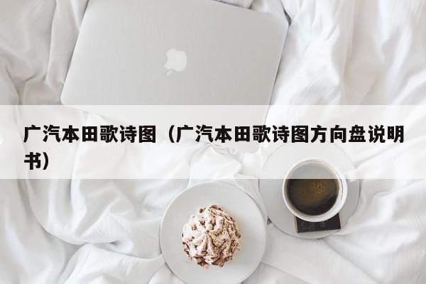 广汽本田歌诗图（广汽本田歌诗图方向盘说明书）