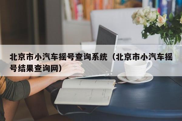 北京市小汽车摇号查询系统（北京市小汽车摇号结果查询网）