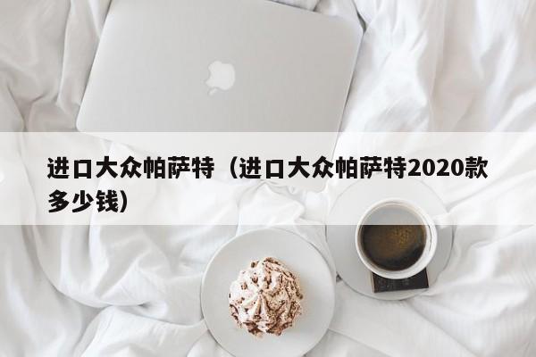 进口大众帕萨特（进口大众帕萨特2020款多少钱）