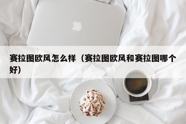 赛拉图欧风怎么样（赛拉图欧风和赛拉图哪个好）