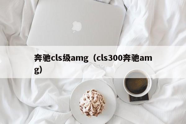奔驰cls级amg（cls300奔驰amg）