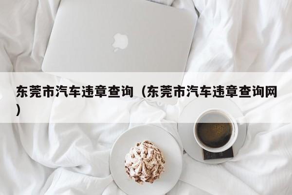 东莞市汽车违章查询（东莞市汽车违章查询网）