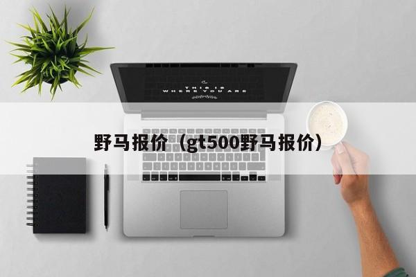 野马报价（gt500野马报价）
