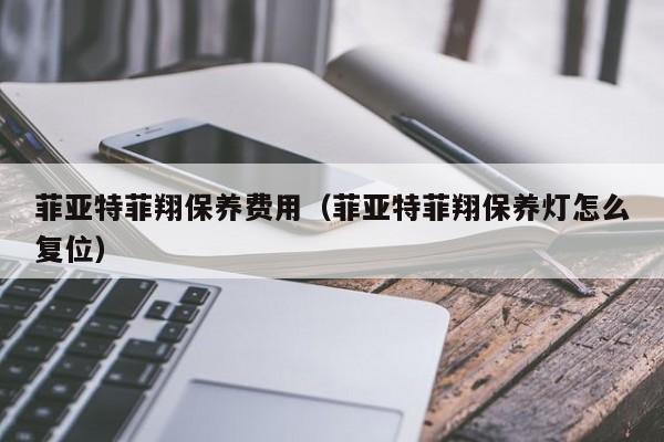 菲亚特菲翔保养费用（菲亚特菲翔保养灯怎么复位）