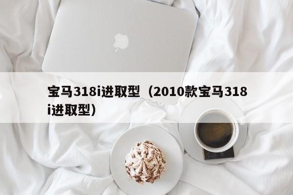宝马318i进取型（2010款宝马318i进取型）