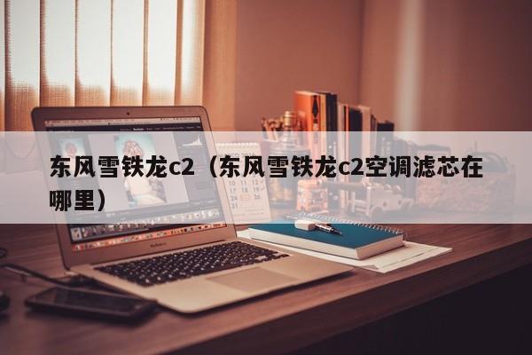 东风雪铁龙c2（东风雪铁龙c2空调滤芯在哪里）