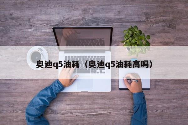 奥迪q5油耗（奥迪q5油耗高吗）