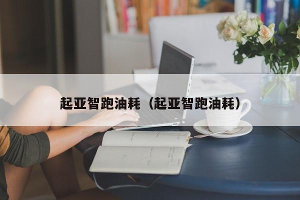 起亚智跑油耗（起亚智跑油耗）
