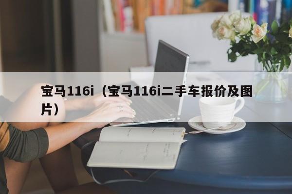 宝马116i（宝马116i二手车报价及图片）