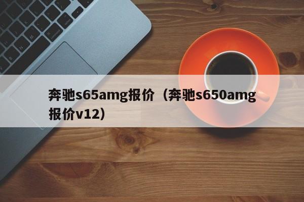 奔驰s65amg报价（奔驰s650amg报价v12）