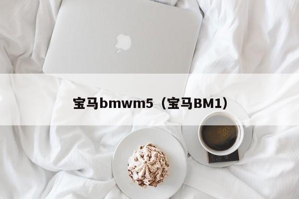 宝马bmwm5（宝马BM1）