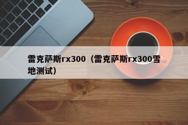 雷克萨斯rx300（雷克萨斯rx300雪地测试）