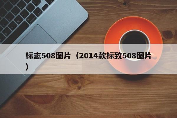 标志508图片（2014款标致508图片）