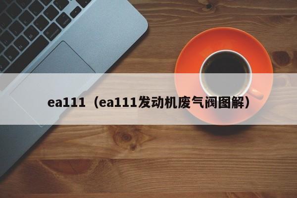 ea111（ea111发动机废气阀图解）