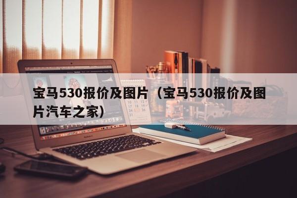 宝马530报价及图片（宝马530报价及图片汽车之家）