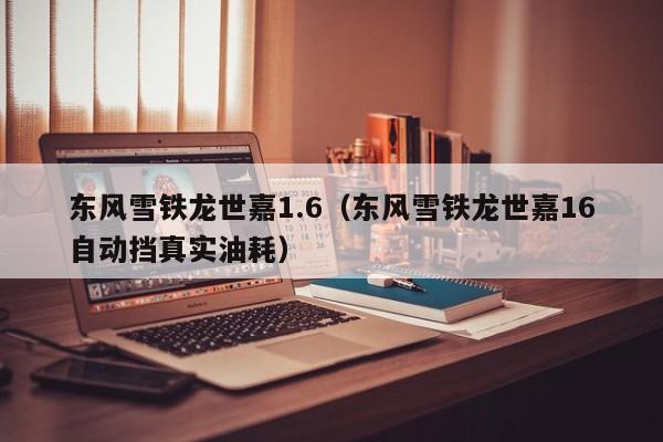 东风雪铁龙世嘉1.6（东风雪铁龙世嘉16自动挡真实油耗）