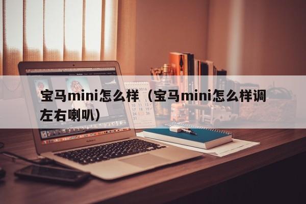 宝马mini怎么样（宝马mini怎么样调左右喇叭）